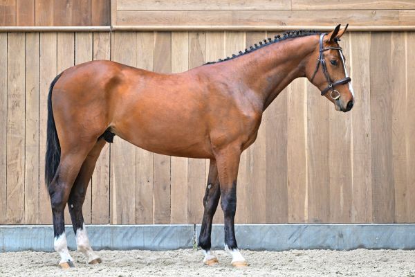 Seigneur de Saint Martin 3