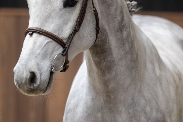 Kings of Leon D'Utah 1