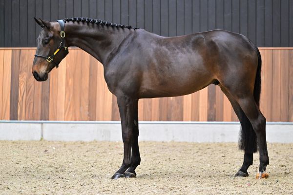 Valverde vd withoeve 3