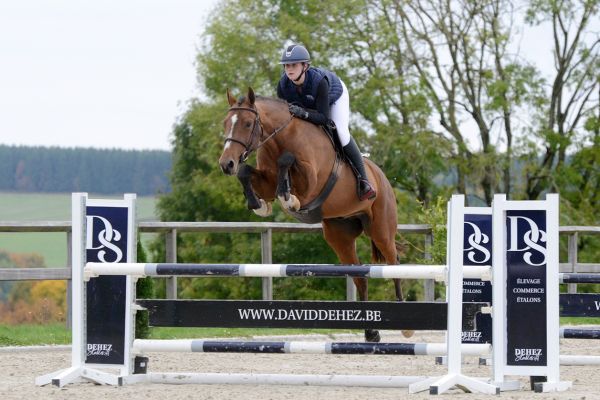 Papillon de Nalonsart