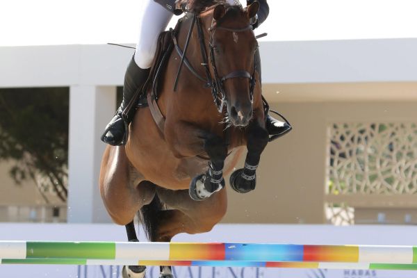 Que Bueno de Hus - 2