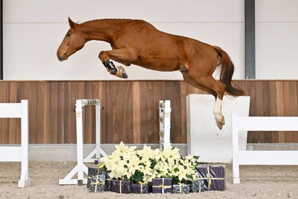 Viktor van 't Heike - 1