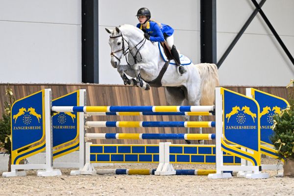 Tortuga van de Trepkes