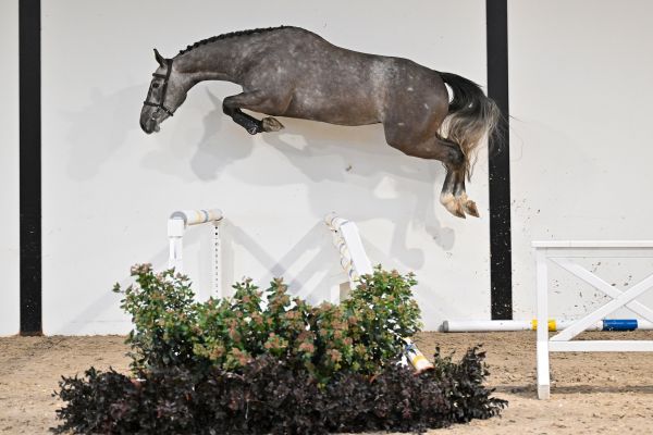 Quancun PYC & CG - 3