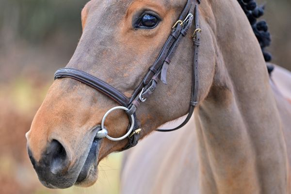 Little de Courcel - 1