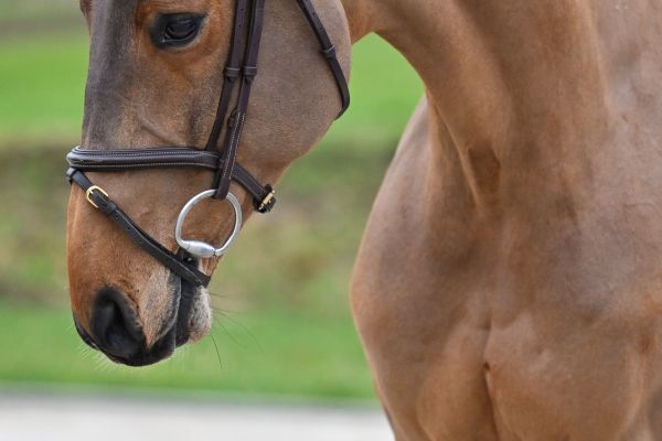 Chacandro Breaker PS 1