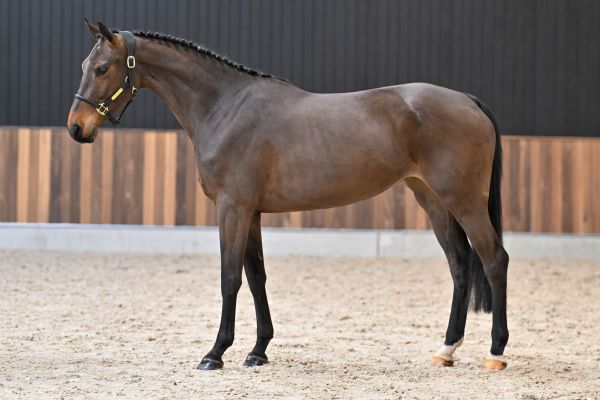 Winnie van't Gebergte 3