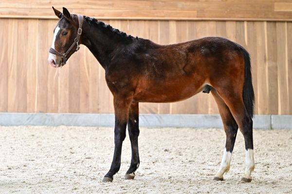D&eacute;fi du petit Baty Z 3