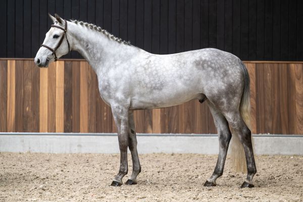 Kings of Leon D'Utah 3