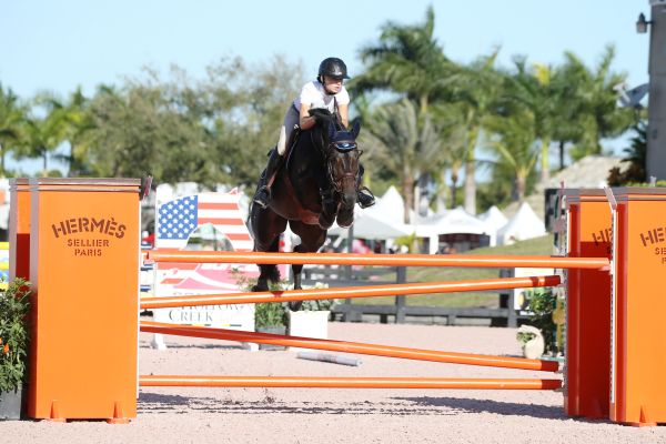 Camonyak - Wellington - 3