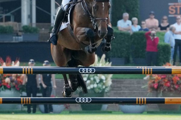 Tuttifrutti Pommex Z - 1