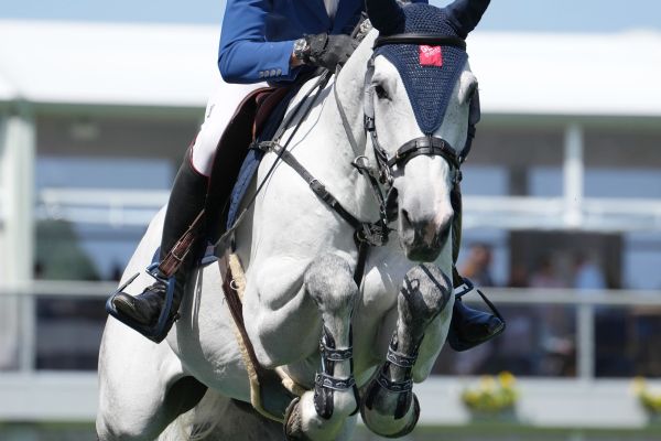 Calypso des Joanins - 1