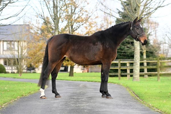 Ibiza de Beaufour - 2