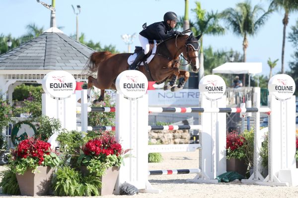 Kent Farrington - Kaprice