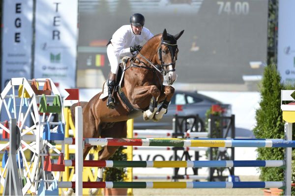 Aganix du Seigneur Z  - 2