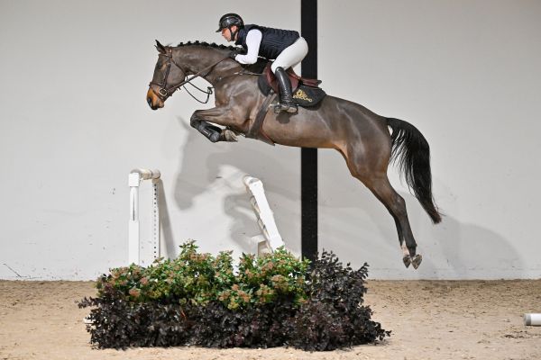 Ufania P van de Donkhoeve - 3