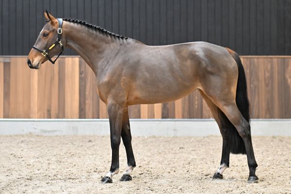 Wadonna van de Pereboom - 3