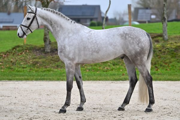 Kings of Leon D'Utah 3