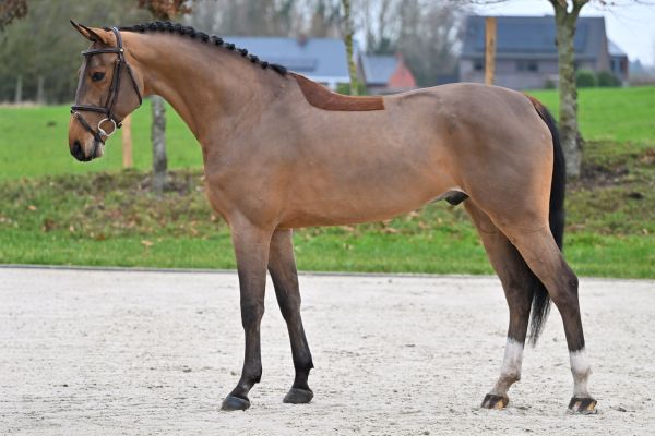 Chacandro Breaker PS 3