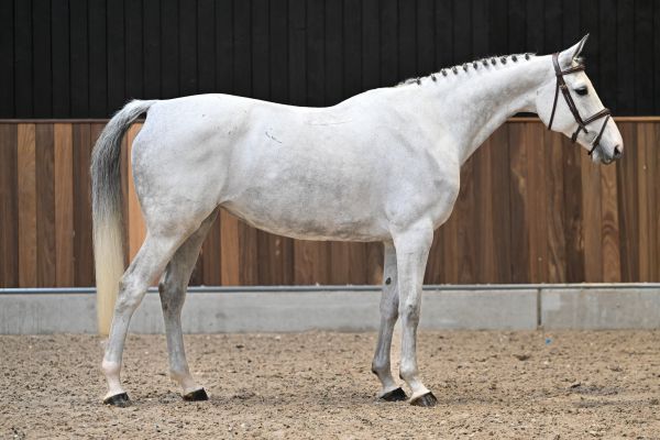 Gora des Cha&icirc;nes  3