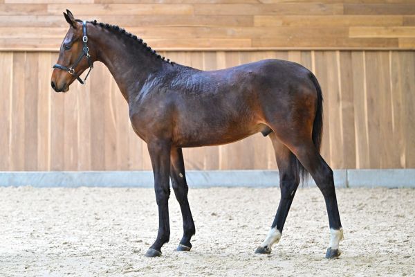 Thy's my life du Bel Horizon 3