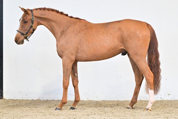 Take Away de Bornival Z 3