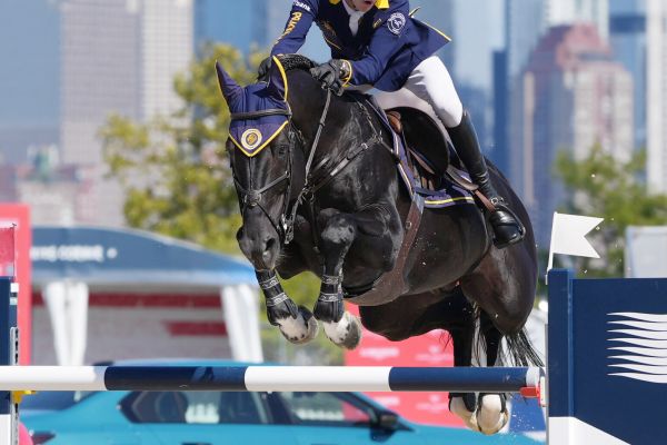 Impress K van Kattenheye Z - 3