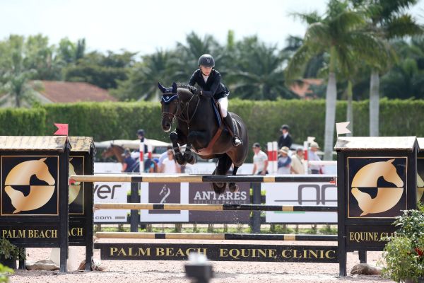 Camonyak - Wellington - 1