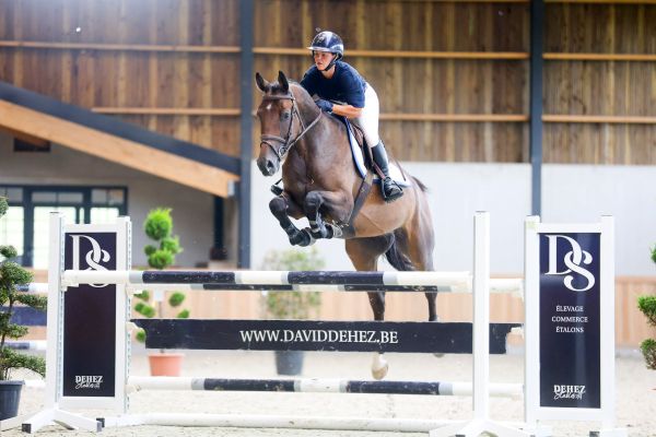 Oh Hercule du Bois du But - 3