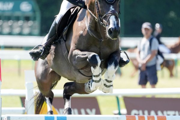 Ginn Fizz DS (Balou du Rouet - Uschi 75)