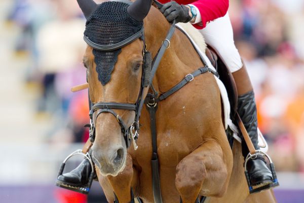 Valentina van 't Heike - 1