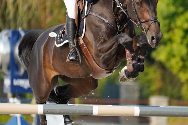 Dalila de la Pomme - 2