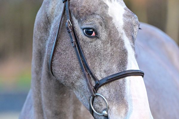 Charles du Caillou Z - 1