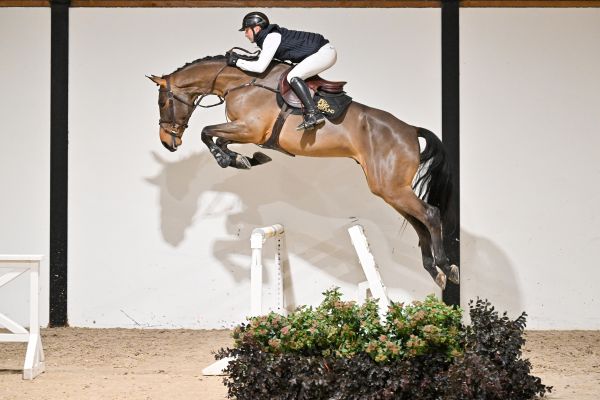 Viktor ter Elzen - 5