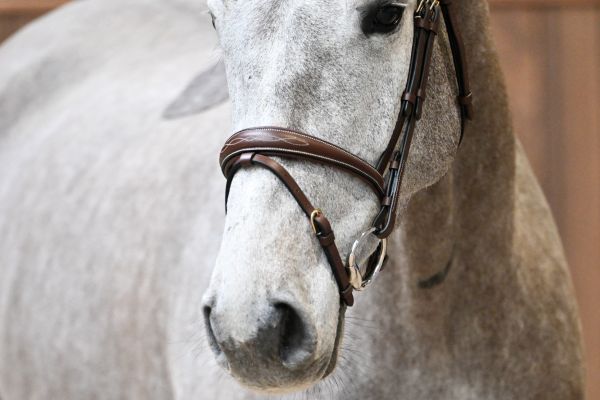 Jersey de Ponthual 1