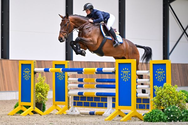 Charisma de la Marchette Z 2