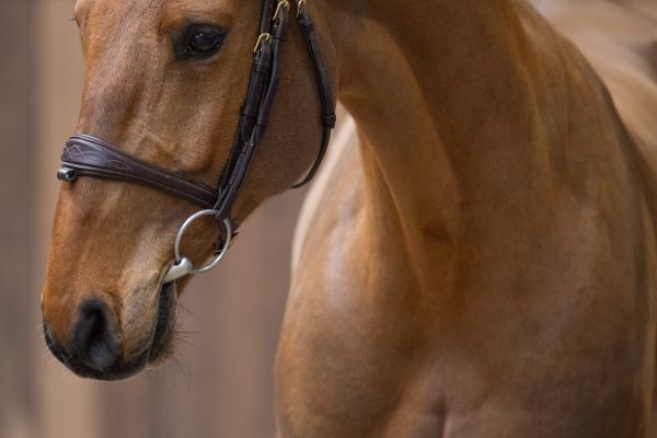 Chacandro Breaker PS 1