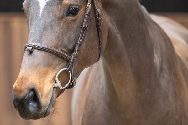 Haloas des Courtis Z 1