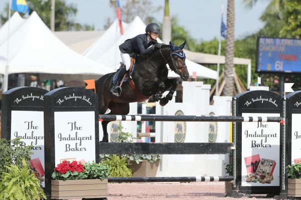 Camonyak - Wellington - 2