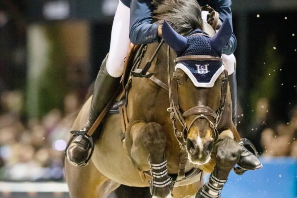 Balou du Reventon - 2