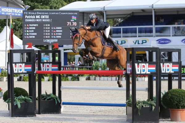 Chamadea Mury Marais Z