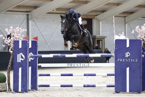 Quelque Chose van Dorperheide - Maartje Verberckmoes - 3