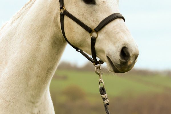 Jardin Secret Menezig - 2