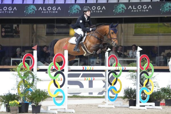 Spits - Gin Flip de Muze