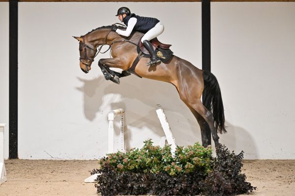 Viktor ter Elzen - 4