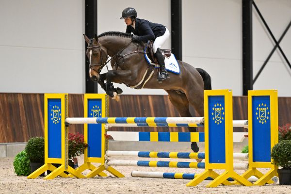 Origi van 't Cijnshof Z - 2