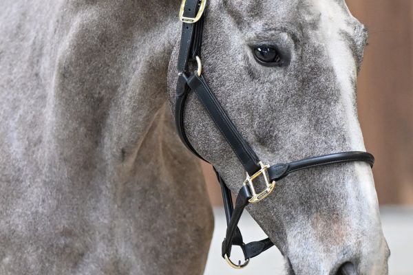 Uruguay vh Gehucht Z - 1