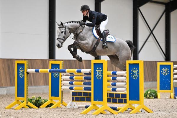 Jersey de Ponthual 2