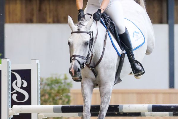 Joconde des Luthiers