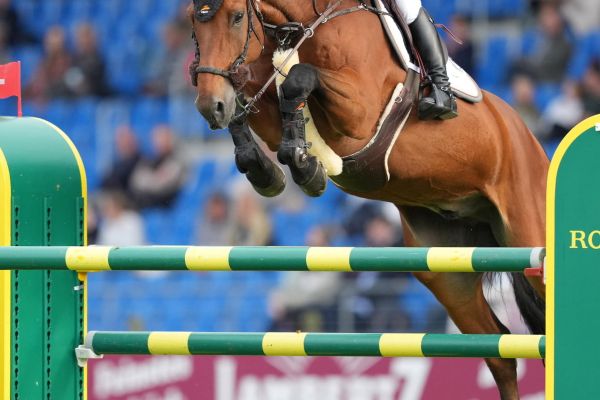 Calouso 2 - Eiken Sato